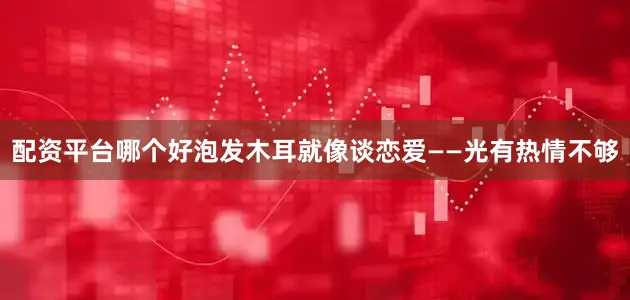 配资平台哪个好泡发木耳就像谈恋爱——光有热情不够