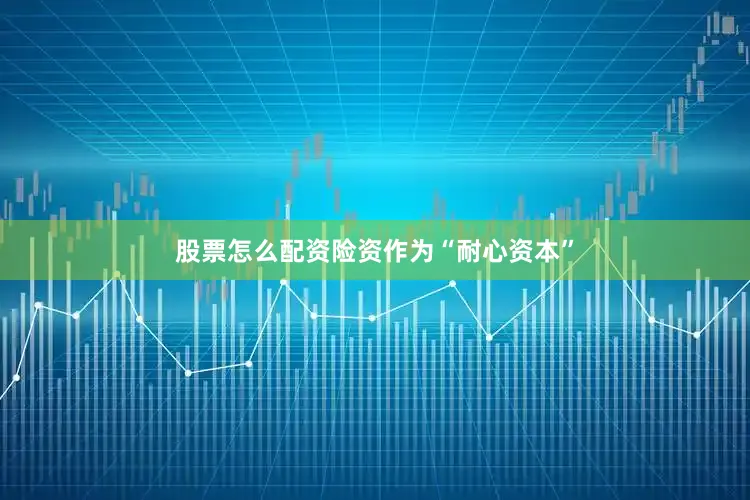 股票怎么配资险资作为“耐心资本”