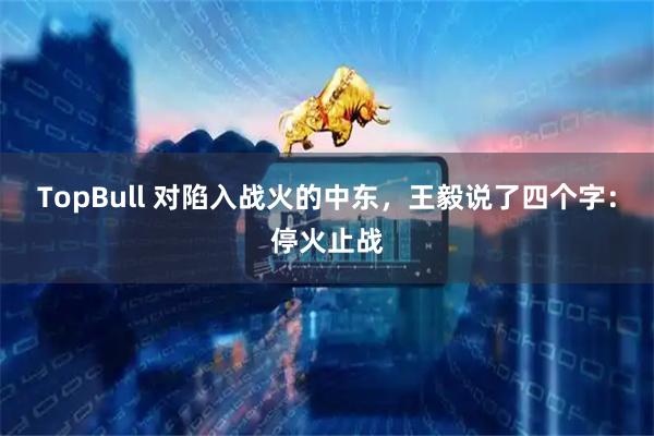TopBull 对陷入战火的中东，王毅说了四个字：停火止战