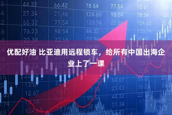 优配好油 比亚迪用远程锁车，给所有中国出海企业上了一课