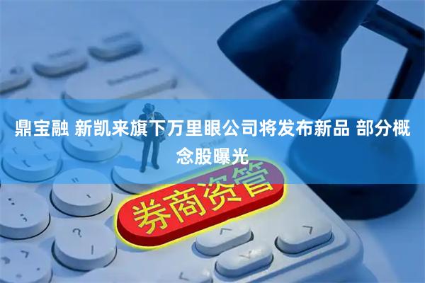 鼎宝融 新凯来旗下万里眼公司将发布新品 部分概念股曝光