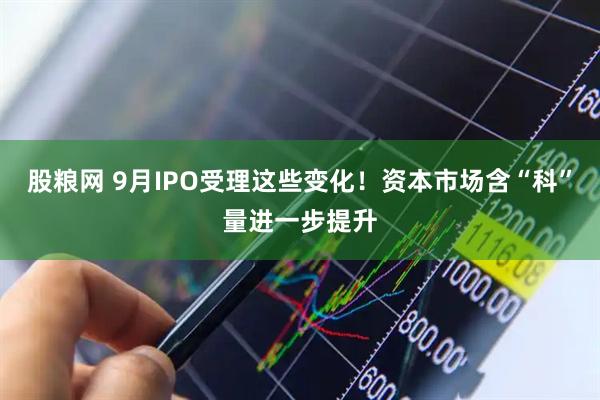 股粮网 9月IPO受理这些变化！资本市场含“科”量进一步提升