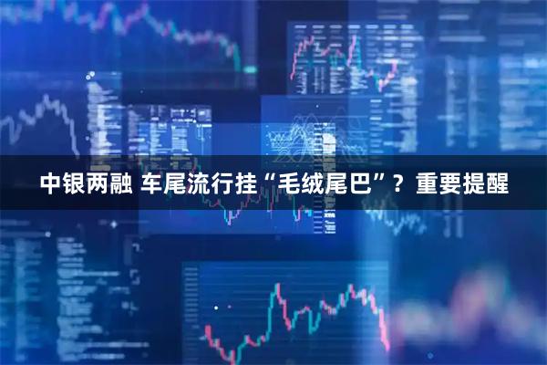 中银两融 车尾流行挂“毛绒尾巴”？重要提醒